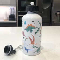 DinoBottle1.jpg