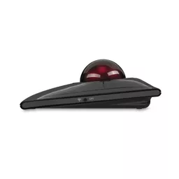K176kWhf8EqP-rikP0nelw.c-r.jpg?