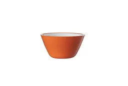621ORA-320ml-Bowl-Orange.jpg?