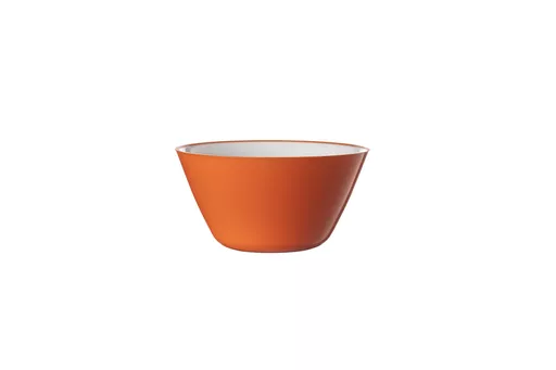 621ORA-320ml-Bowl-Orange.jpg?