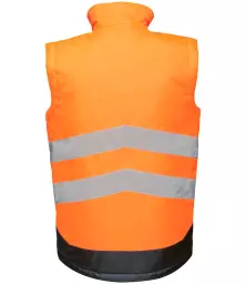 RG475%20OR%252fNV%20BACK.jpg?