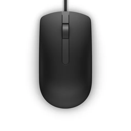 DELL MS116 mouse Ambidextrous USB Type-A Optical 1000 DPI