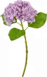 IT393803.jpg