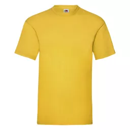 Men's Valueweight T-Shirt
