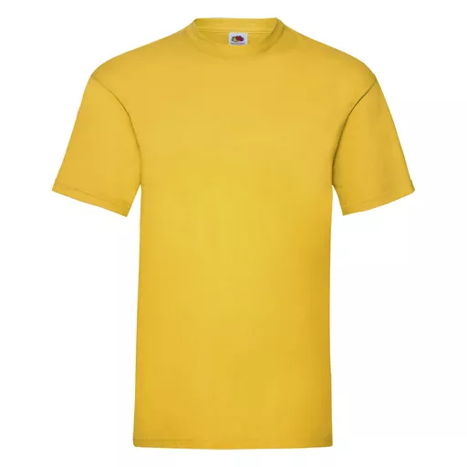 Men's Valueweight T-Shirt