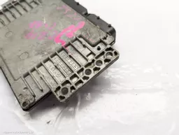 5cd6c5dc-3bcd-4454-b03b-851c2d8b6bd9.jpeg?