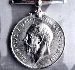 bh_218_medal_320a.jpg