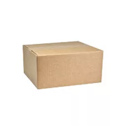 natural kraft unprinted corrugated cardboard shipping box single wall.jpg