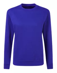 Ladies' Crew Neck Sweatshirt