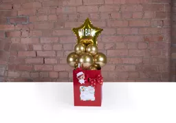 Elf Arrival 3 Medium.jpg