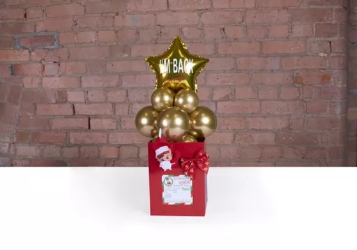 Elf Arrival 3 Medium.jpg