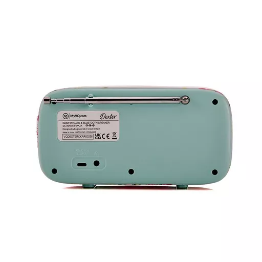 VQDEXTERCKAR_06.jpg?