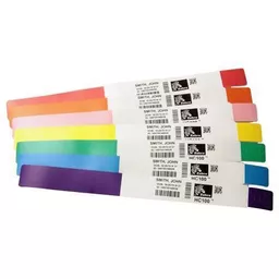 PsIjwjlhMU6cJStBbG8X3w.c-r.jpg