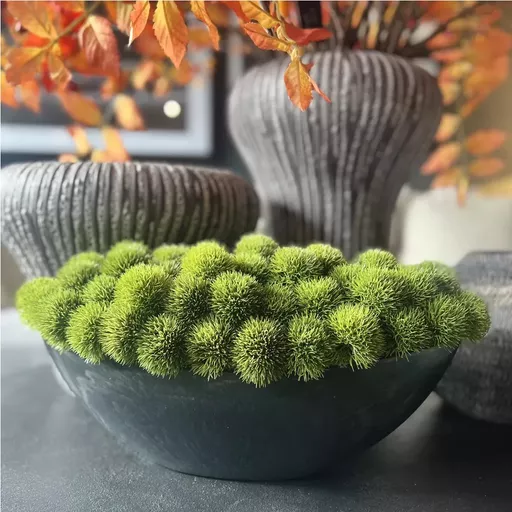 Screenshot 2025-10-31 at 11.31.49.jpg