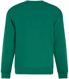 RX301%20KEL%20BACK.jpg?