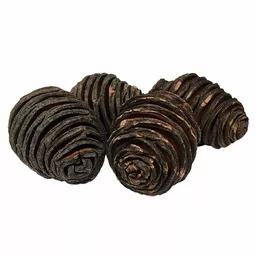 Platyspernum Cones x 4.webp