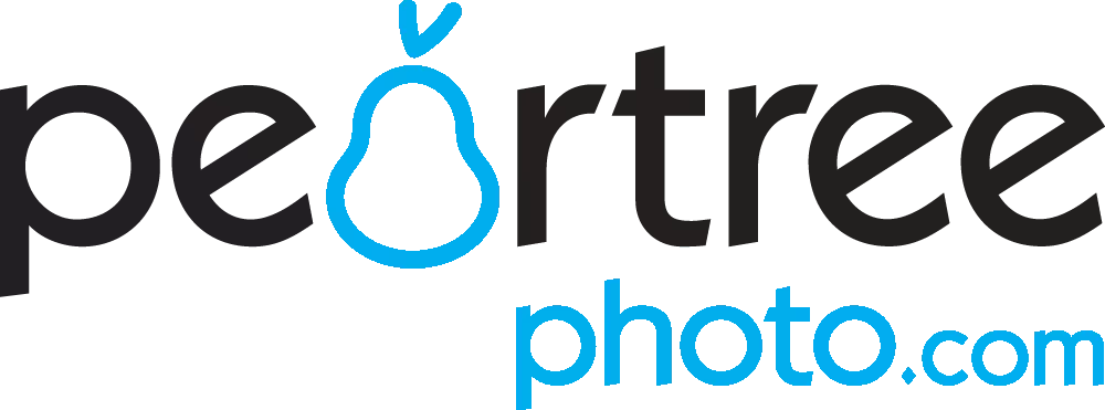 ptreephoto_blue-logo_large.png