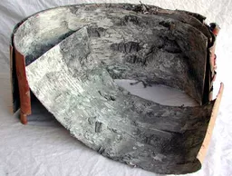 https://starbek-static.myshopblocks.com/images/tmp/nt_105_birchbark4.3.jpg