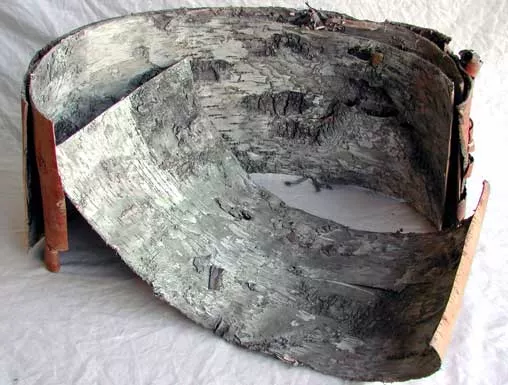 5 x Large Birch Bark