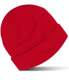 RX290%20RED%20LEFT.jpg?