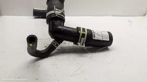 bd044af8-fea7-45ce-9007-ffbf0eb024fc.jpeg?