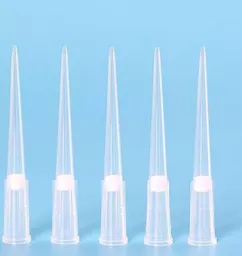 bd092b5e77f65727cf831e72f1a04dc3.png?