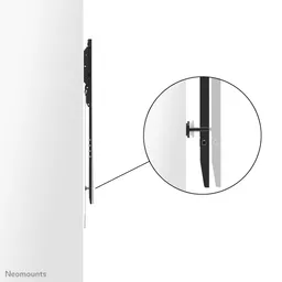 DvZwT2nE9EWeJ25zDv6Oig.c-r.jpg?