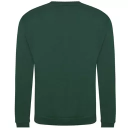 PRORTX_ProSweatshirtRX301_BottleGreen_Back.png