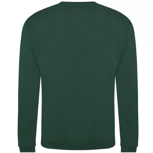 PRORTX_ProSweatshirtRX301_BottleGreen_Back.png