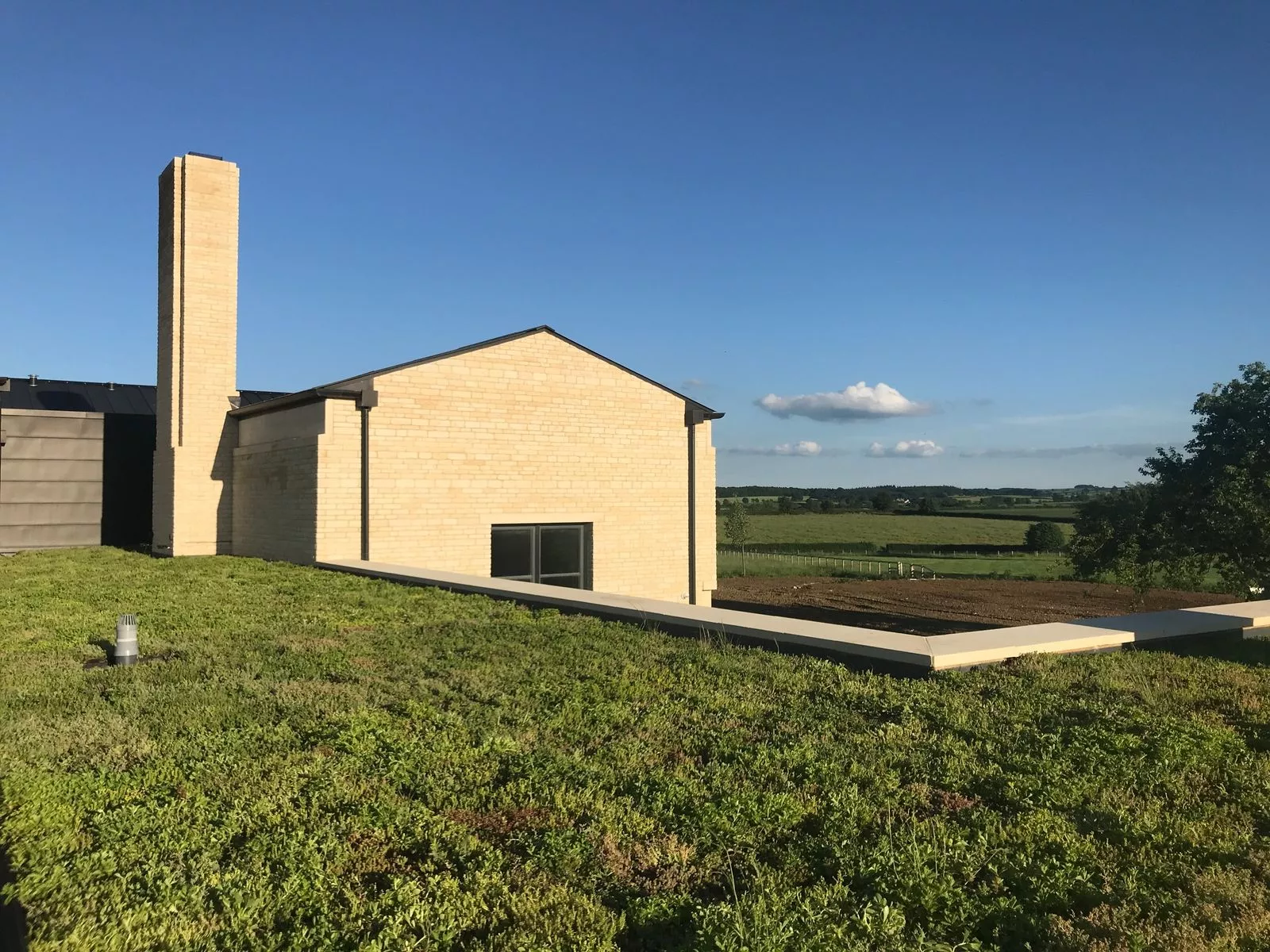 Benefits of a Green Roof Trays