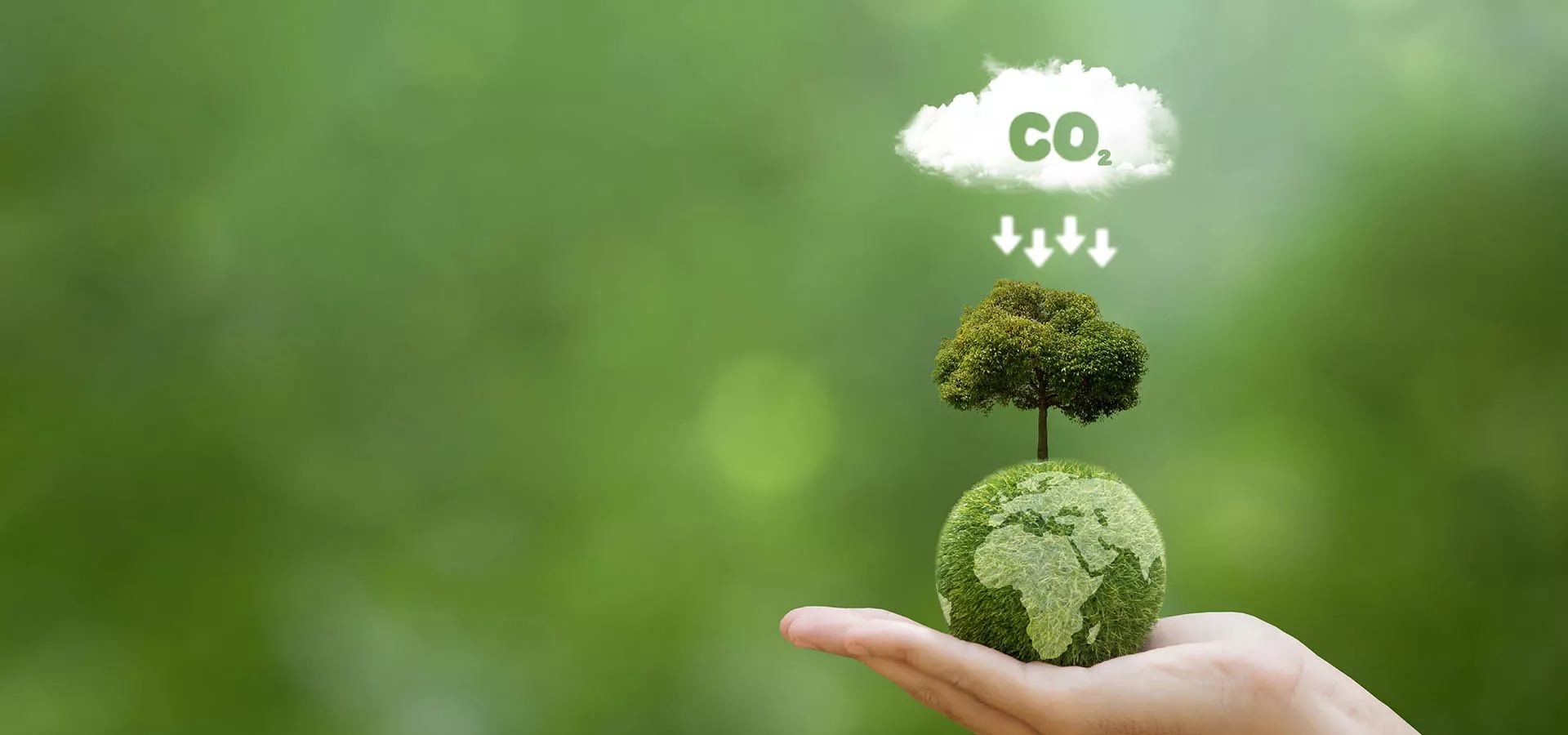 carbon-mapping.jpg
