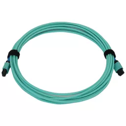 9Zbc552PYUGWSineyQ8Aug.c-r.jpg?