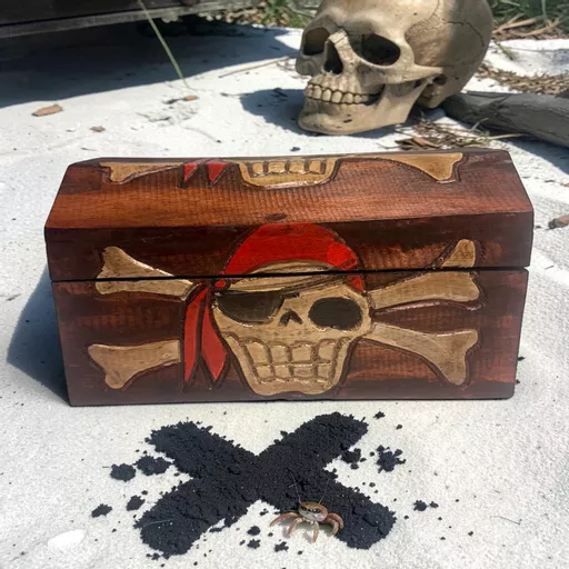 pirate 4.jpg