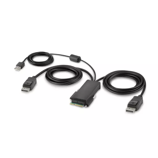 Belkin F1DN202MOD-PP-4 KVM switch Black