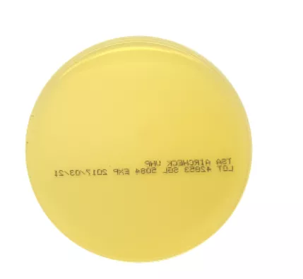 TSA (CASO AGAR) PLATES 10'S