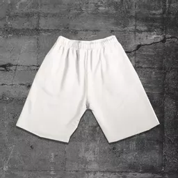 off-white-shorts-back.png