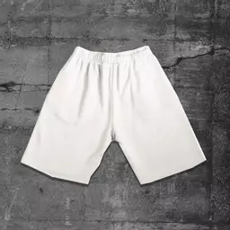 off-white-shorts-back.png