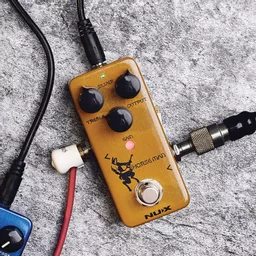 1705578516-55738400.jpg?