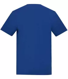 AT001%20ROY%20BACK.jpg?