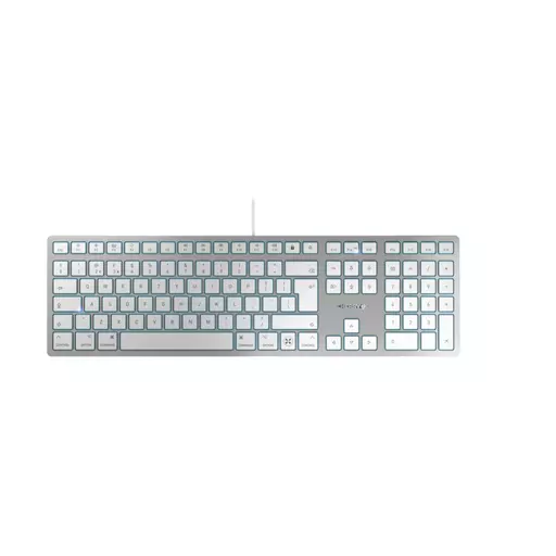 CHERRY KC 6000C FOR MAC keyboard USB QWERTY English Silver