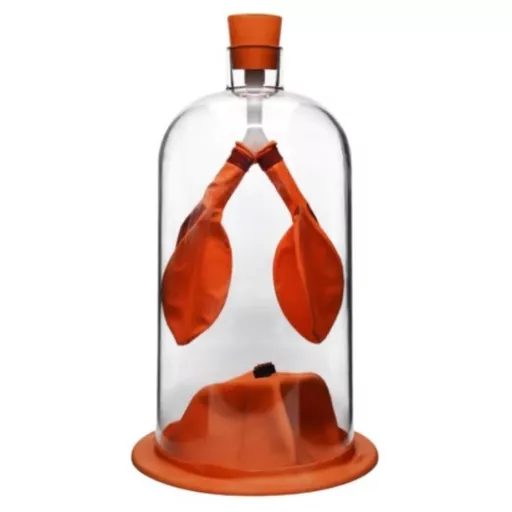 Lung demonstration Model