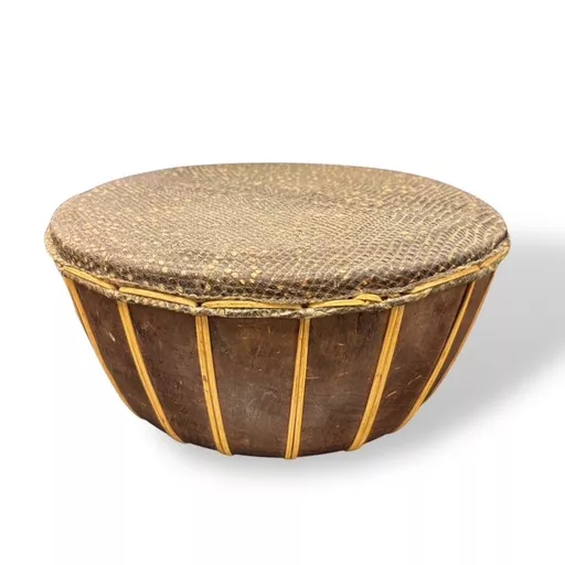 Lizard Skin Drum