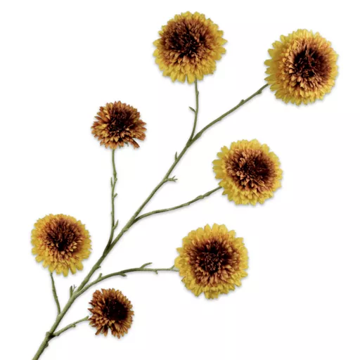 -Yellow Sunflower Stem