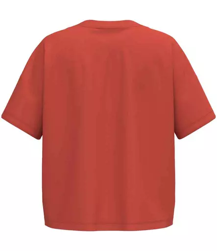 NS313%20PPK%20BACK.jpg?