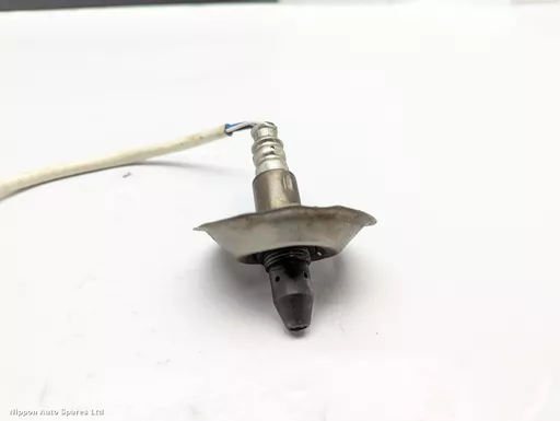 4c224e79-ca10-4a3e-9dd4-203fac34e151.jpeg?