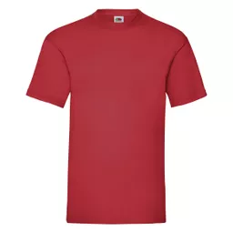 Men's Valueweight T-Shirt