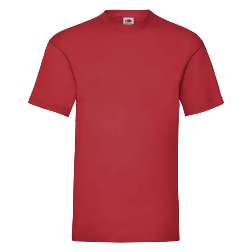 Men's Valueweight T-Shirt