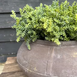 Screenshot 2025-10-22 at 15.49.30.jpg