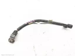 44417668-ce30-4c2d-b0aa-738f60825026.jpeg?