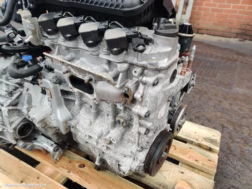 297f8f5e-ad53-4241-a283-75ea3d1d5bbf.jpeg?